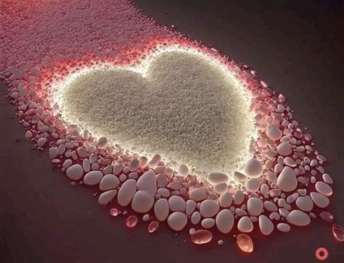 At a Quantum Level