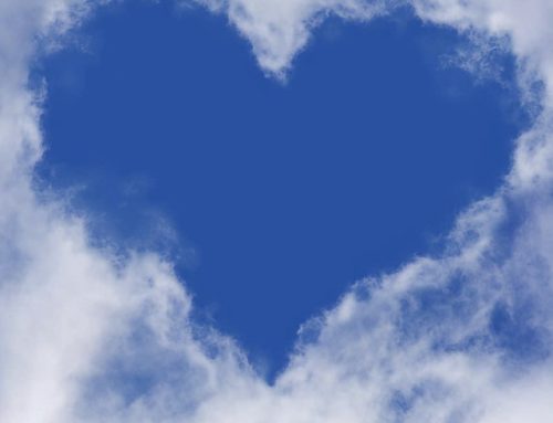 How the Heart Grows Wise…